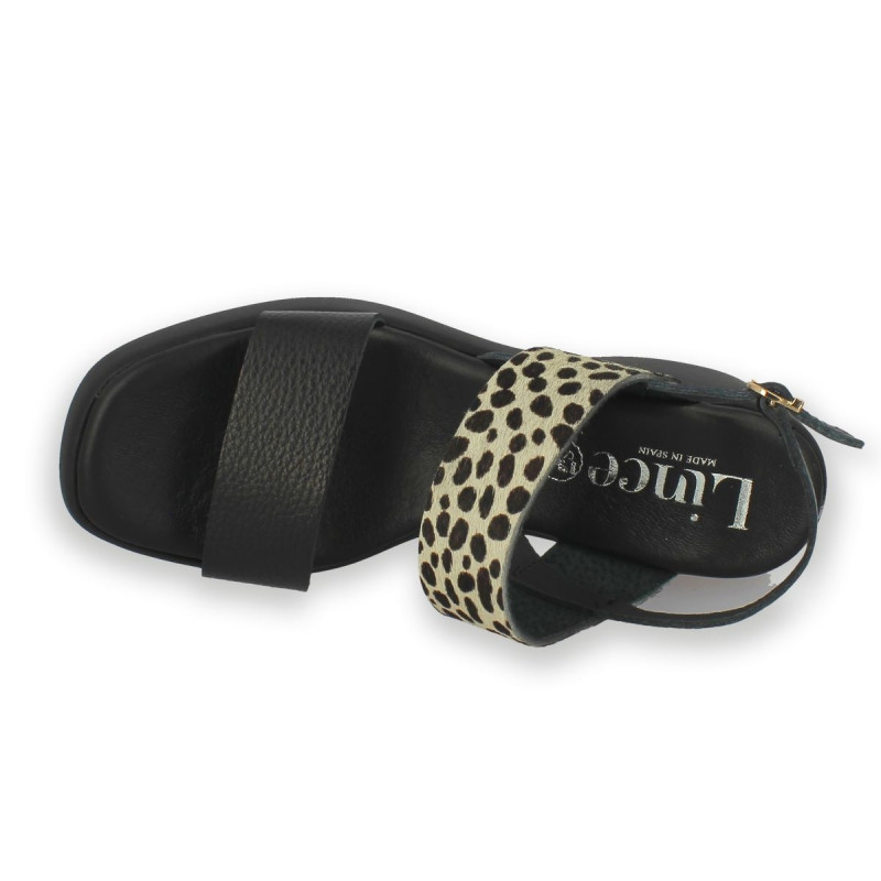 BUOVI NEGRO/PONY DALMATA