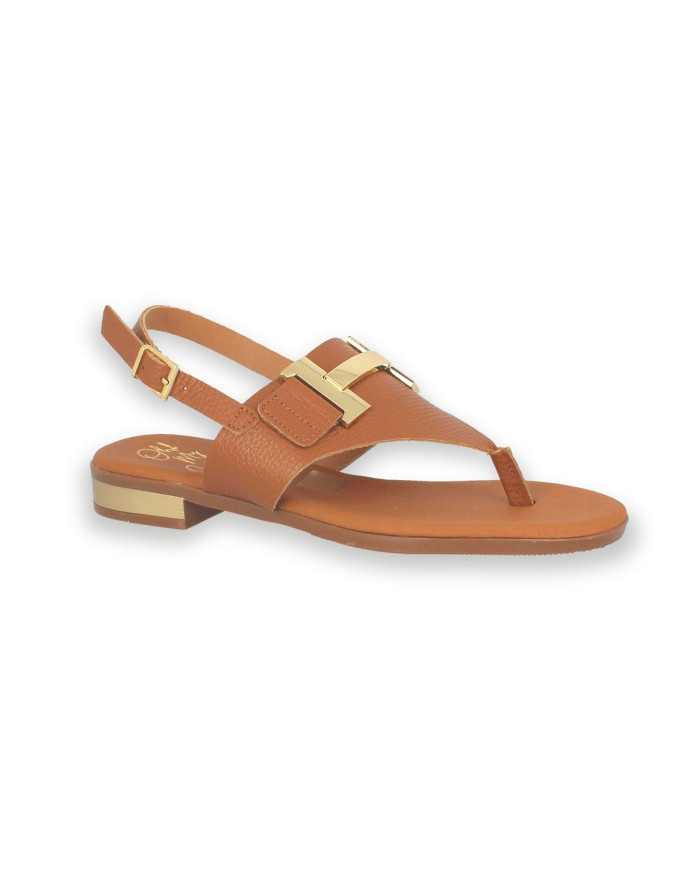 2432 NUTE/C DOYA ROBLE