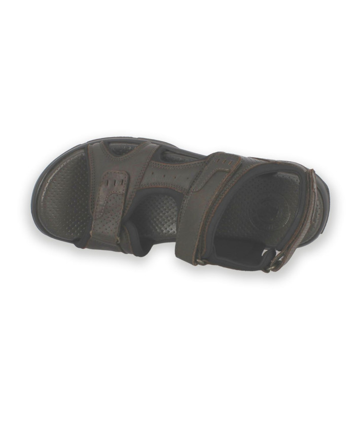 Variante:18-PIEL MARRON