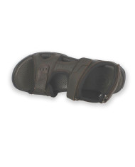 Variante:18-PIEL MARRON