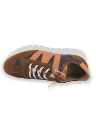 COMBINACION COÑAC POWDER