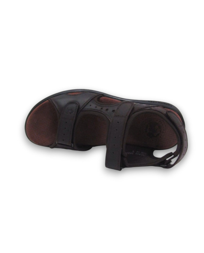 Salton Basics C1 Napa Grass Marron / Brown