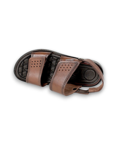 133154-01 ANILINA 24L PINHAO