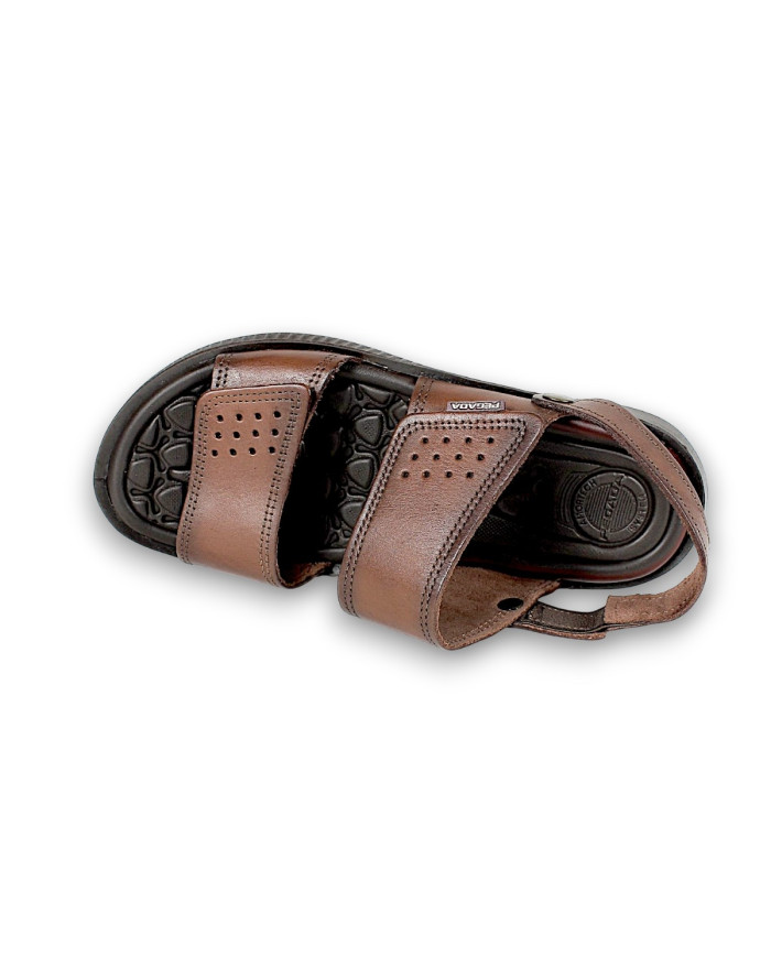 133154-01 ANILINA 24L PINHAO