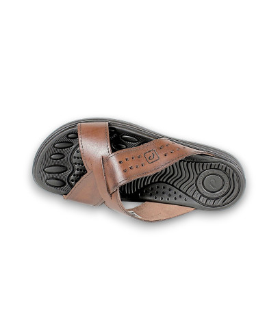 134201-01 ANILINA 24L PINHAO