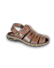 131676-01 ANILINA PINHAO 24L