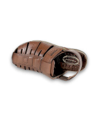 131676-01 ANILINA PINHAO 24L