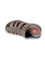 GAUCHO MARRON