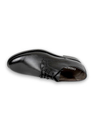 BLUCHER