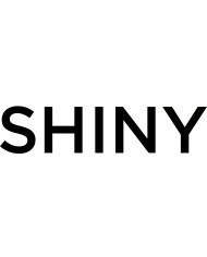 SHINY shoes